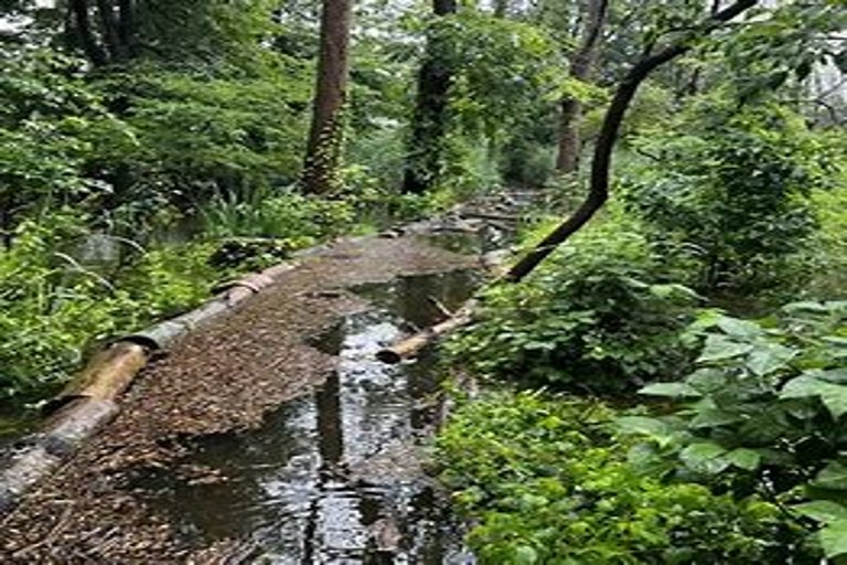 Halifax Startup Launches App to Track Stormwater Flooding