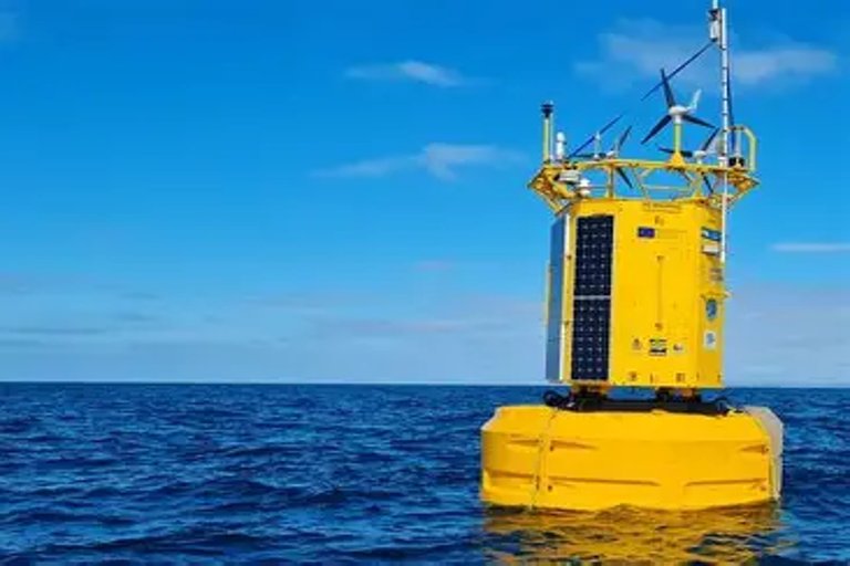 Dalhousie Lab Unveils Smart Buoy Technology for Lobster Fishery