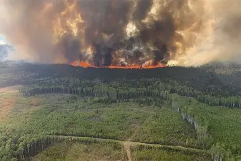Nova Scotia Wildfire Recovery Continues in Shelburne County